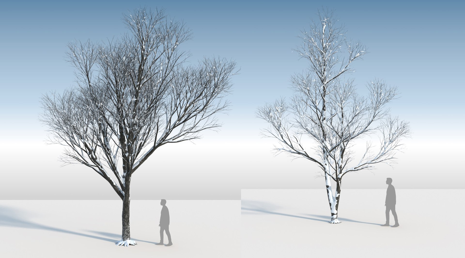 3D trees 3 model https://p.turbosquid.com/ts-thumb/Hq/dviE0a/C2OXBVwr/weleven_iiisnowed9/jpg/1583481388/1920x1080/fit_q87/3b22eb161cb8b9269fb32ba879c8d9e51cf51d06/weleven_iiisnowed9.jpg