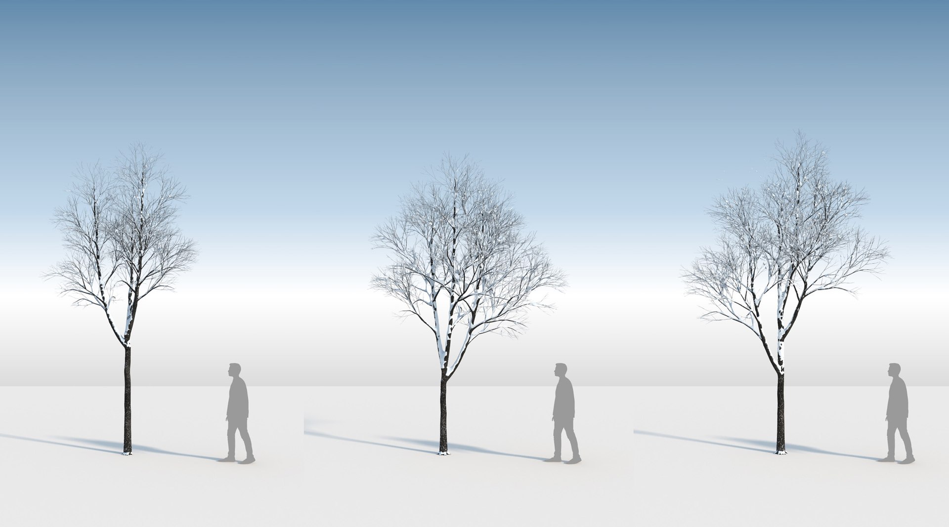 3D trees 3 model https://p.turbosquid.com/ts-thumb/Hq/dviE0a/FfCnXZCY/weleven_iiisnowed13/jpg/1583481397/1920x1080/fit_q87/82e2416f981640d3bb3642879ec5cbc3373ab0b4/weleven_iiisnowed13.jpg