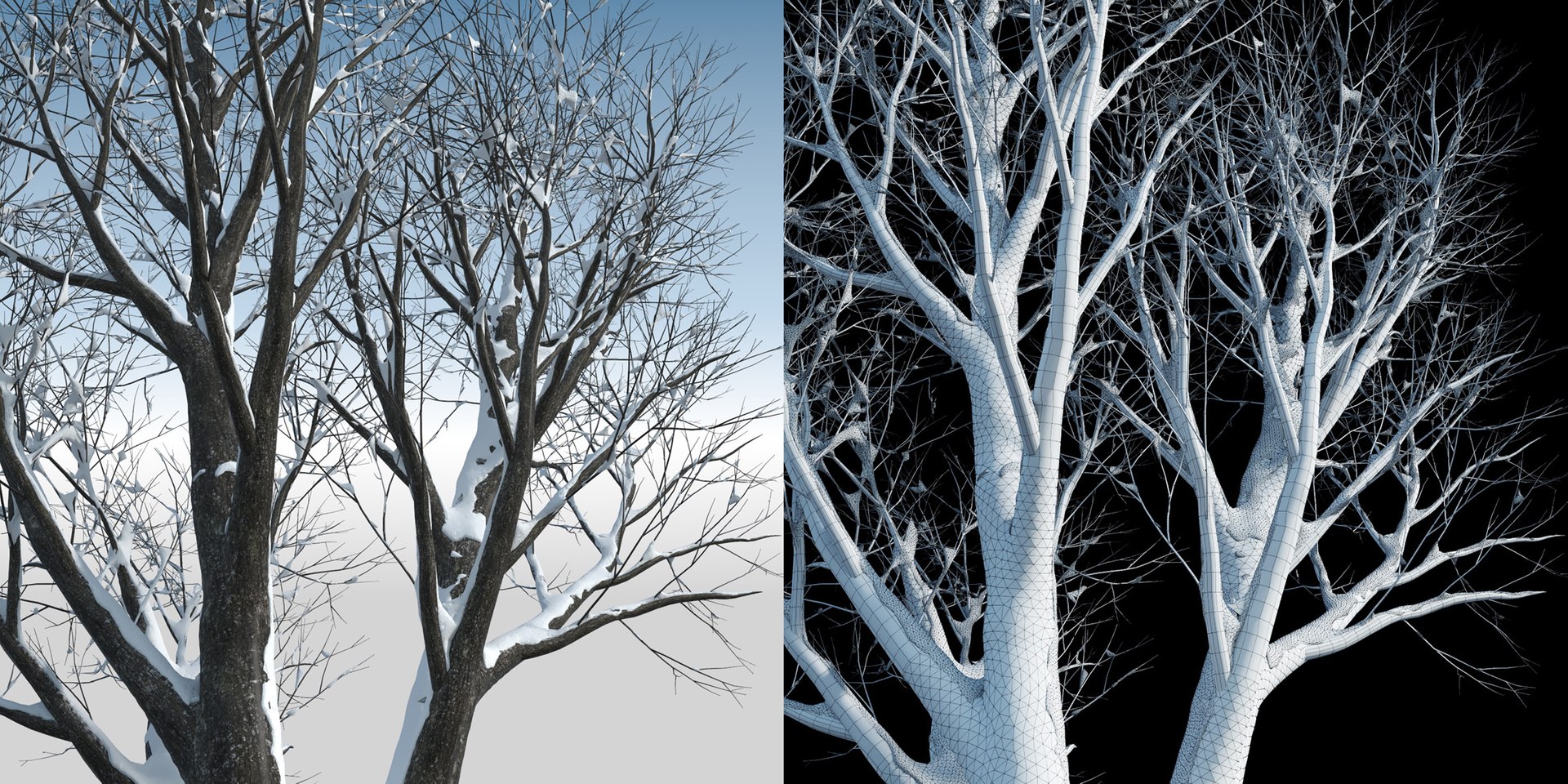 3D trees 3 model https://p.turbosquid.com/ts-thumb/Hq/dviE0a/PS3DLkwE/weleven_iiisnowed2/jpg/1583481377/1920x1080/fit_q87/39807d34ef3358b9cf602592d01d17c3dc49c29e/weleven_iiisnowed2.jpg