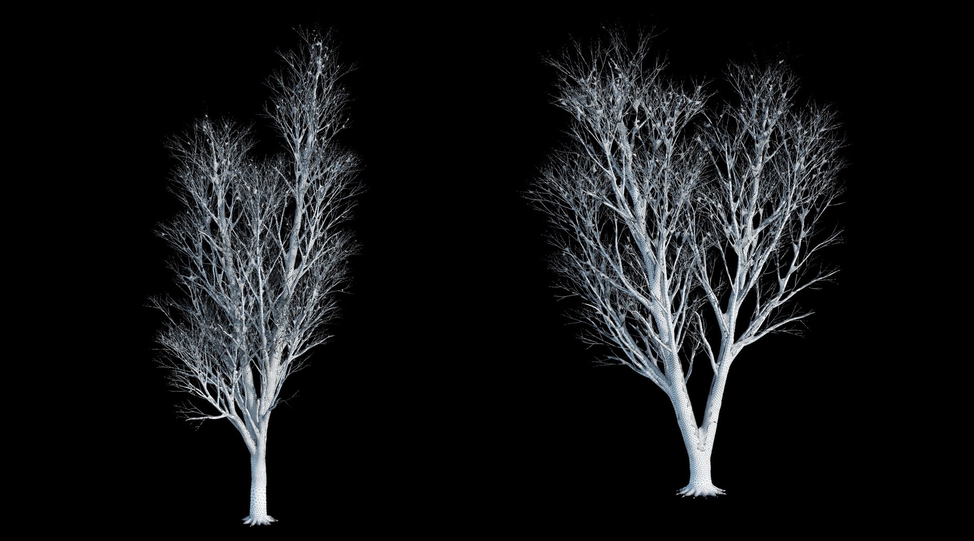 3D trees 3 model https://p.turbosquid.com/ts-thumb/Hq/dviE0a/TZBKn5CY/weleven_iiisnowed19/jpg/1583481397/1920x1080/fit_q87/1ac37e36e9c7e41a96d1c6814382ade10760cbee/weleven_iiisnowed19.jpg