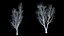 Eleven Trees 3 (+Growfx)