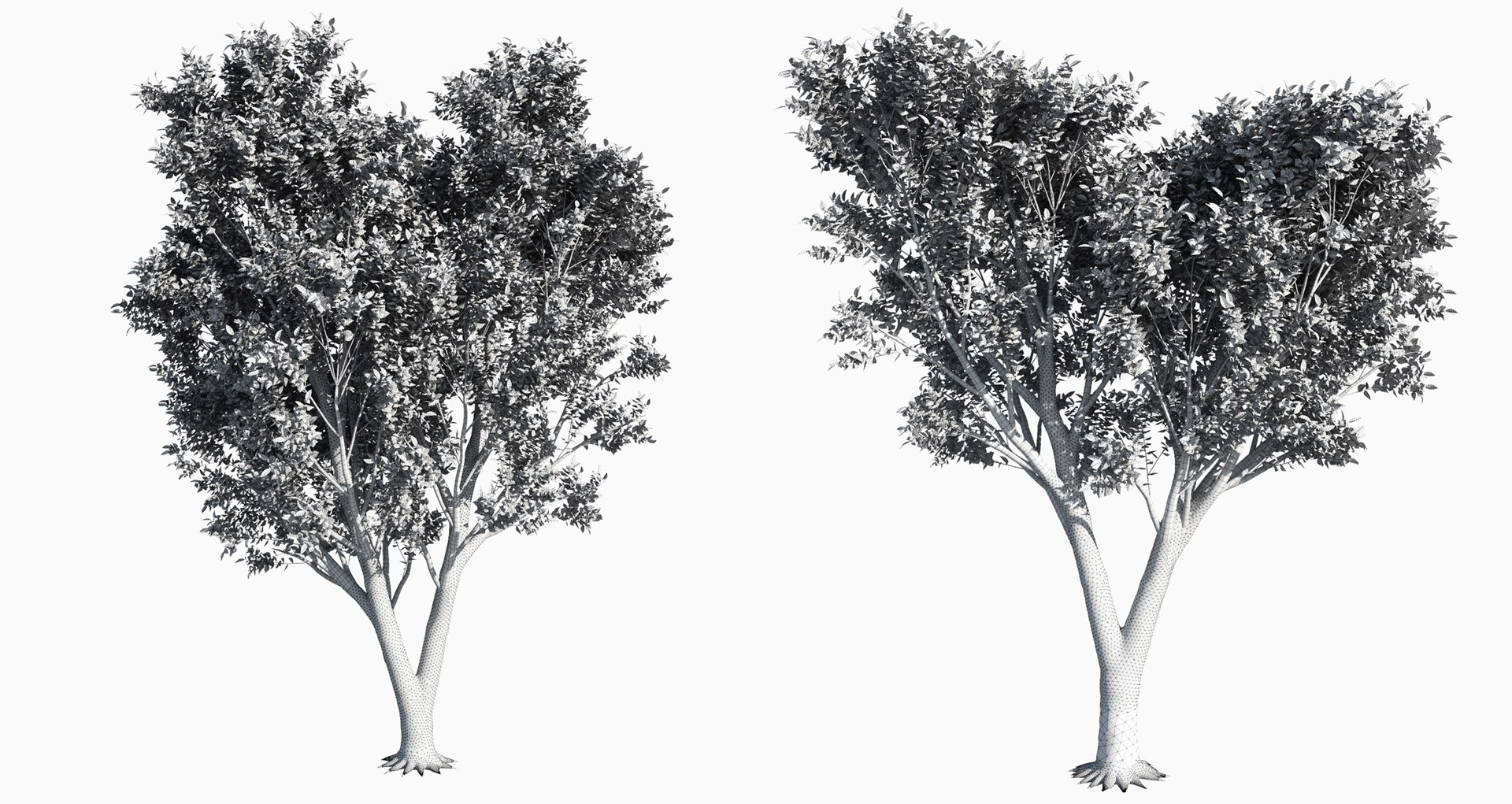 3D trees 3 model https://p.turbosquid.com/ts-thumb/Hq/dviE0a/X477EadV/elvn_tree_iii_18/jpg/1583481358/1920x1080/fit_q87/beb6352a0fbfc90599832c1b469eb602dd6ad326/elvn_tree_iii_18.jpg