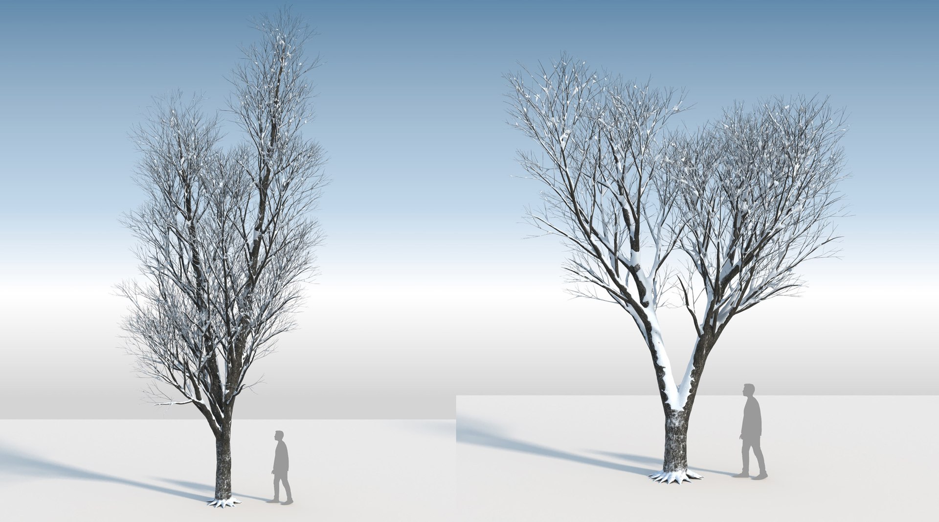 3D trees 3 model https://p.turbosquid.com/ts-thumb/Hq/dviE0a/YTNlX9ka/weleven_iiisnowed5/jpg/1583481388/1920x1080/fit_q87/5577da7452adeb42852afc5adf3da8247b16966e/weleven_iiisnowed5.jpg