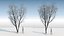Eleven Trees 3 (+Growfx)