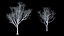Eleven Trees 3 (+Growfx)