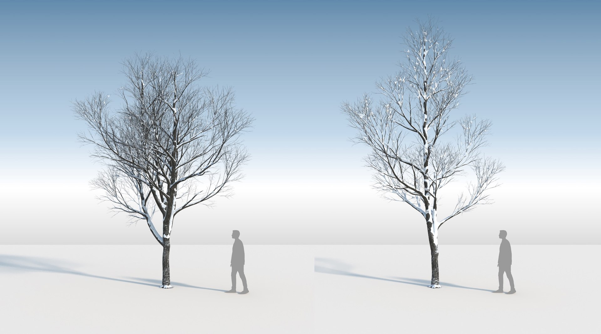 3D trees 3 model https://p.turbosquid.com/ts-thumb/Hq/dviE0a/ivHtVj7O/weleven_iiisnowed11/jpg/1583481388/1920x1080/fit_q87/ce7ffa21577087b44dfb882a0371ae83d5f7009f/weleven_iiisnowed11.jpg