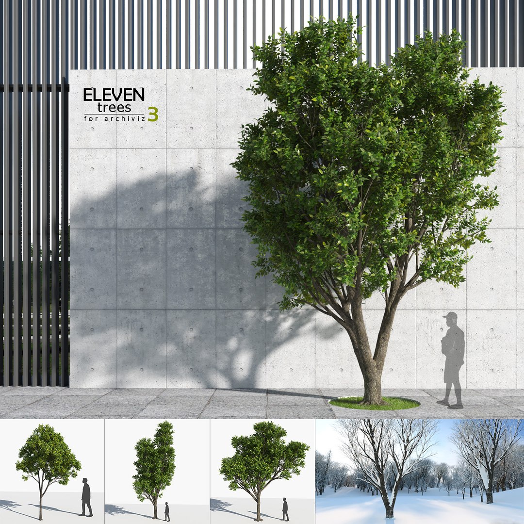 3D trees 3 model https://p.turbosquid.com/ts-thumb/Hq/dviE0a/kVxKPeB9/elvn_tree_iii_1d/jpg/1583486453/1920x1080/fit_q87/67d56084aeb90dcbbf0a8a8ffca4a6b2a3f05696/elvn_tree_iii_1d.jpg
