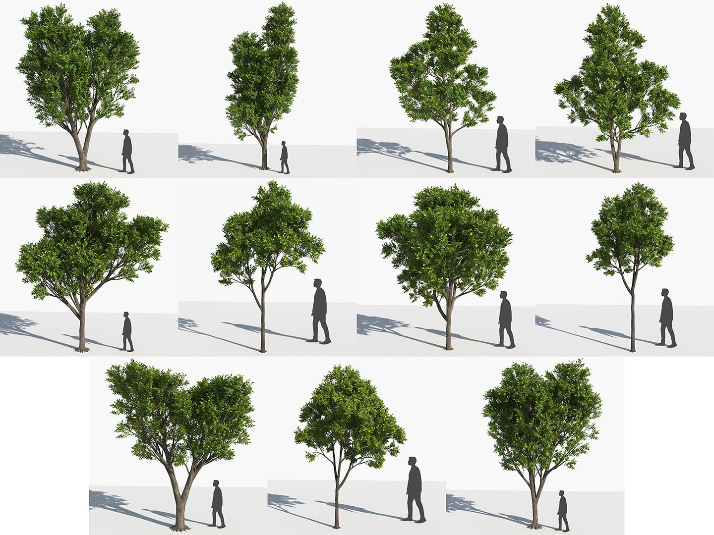 3D trees 3 model https://p.turbosquid.com/ts-thumb/Hq/dviE0a/ycJBjXud/elvn_tree_iii_2/jpg/1583481300/1920x1080/fit_q87/7e52d511a2836ff9ed0359e84d317f6666555710/elvn_tree_iii_2.jpg