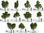 Eleven Trees 3 (+Growfx)
