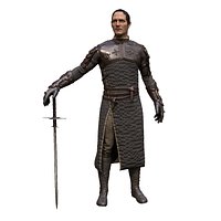 Medieval Squire Warrior