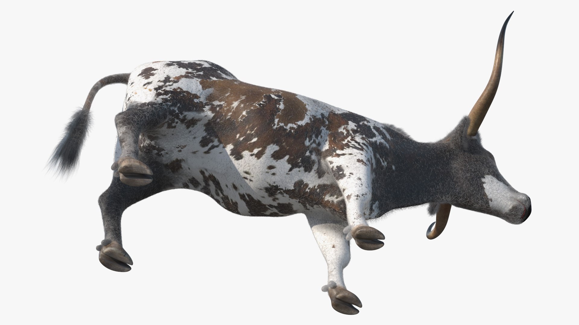 Texas Longhorn Mottled Brown Fur model https://p.turbosquid.com/ts-thumb/Hr/7f6quh/50/texaslonghornmottledbrownfurmb3dmodel013/jpg/1705921454/1920x1080/fit_q87/952e5c0fbc1e1eeadebb9cfd8f2cbc3fcd3aa304/texaslonghornmottledbrownfurmb3dmodel013.jpg