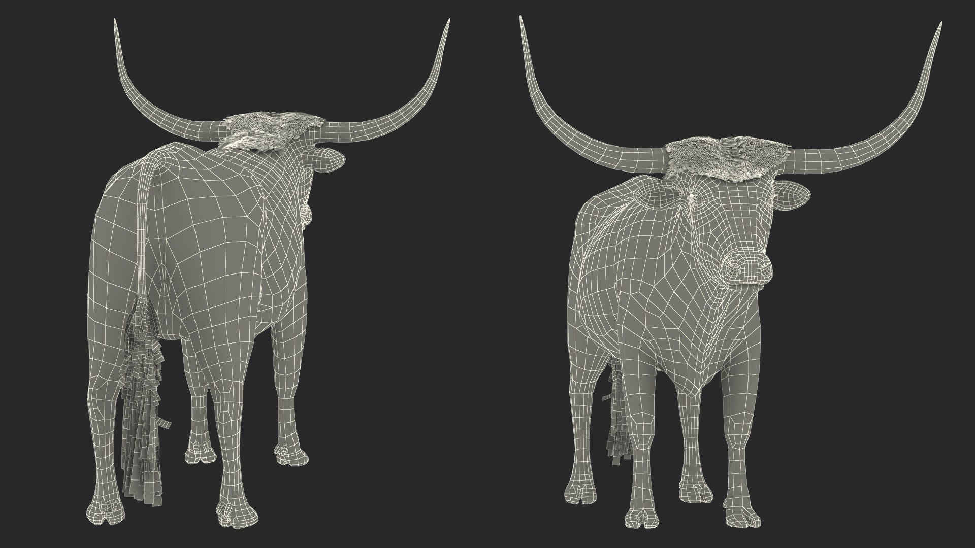 Texas Longhorn Mottled Brown Fur model https://p.turbosquid.com/ts-thumb/Hr/7f6quh/86/texaslonghornmottledbrownfurmb3dmodel021/jpg/1705921489/1920x1080/fit_q87/d84f10f1b702052b82f0a22e28cc737f864000d6/texaslonghornmottledbrownfurmb3dmodel021.jpg