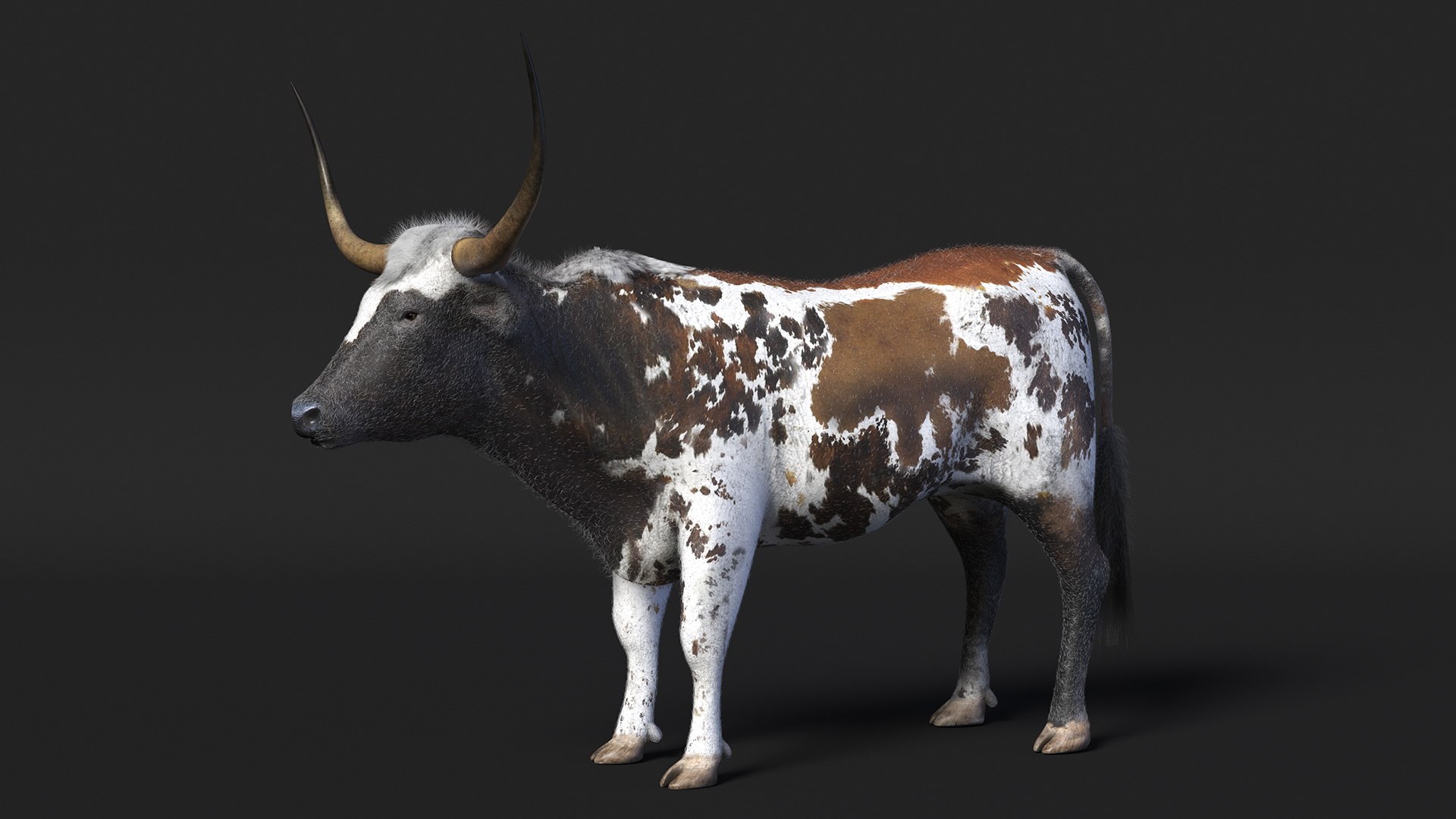Texas Longhorn Mottled Brown Fur model https://p.turbosquid.com/ts-thumb/Hr/7f6quh/P0/texaslonghornmottledbrownfurmb3dmodel006/jpg/1705921422/1920x1080/fit_q87/aec4b4ddb6667c87cb99e88f6ea393c38e508544/texaslonghornmottledbrownfurmb3dmodel006.jpg