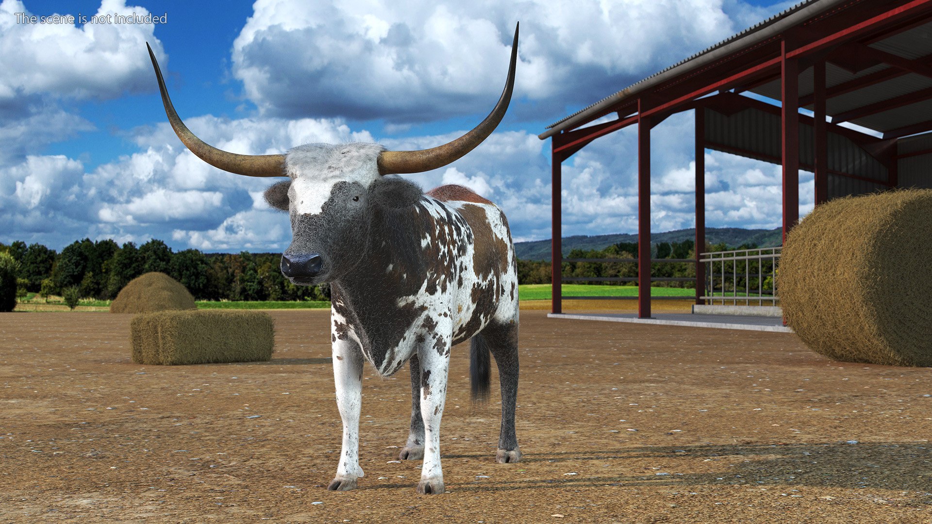 Texas Longhorn Mottled Brown Fur model https://p.turbosquid.com/ts-thumb/Hr/7f6quh/eX/texaslonghornmottledbrownfurmb3dmodel004/jpg/1705921414/1920x1080/fit_q87/4118db937c6fa858233bf150c85940833aa17ce2/texaslonghornmottledbrownfurmb3dmodel004.jpg