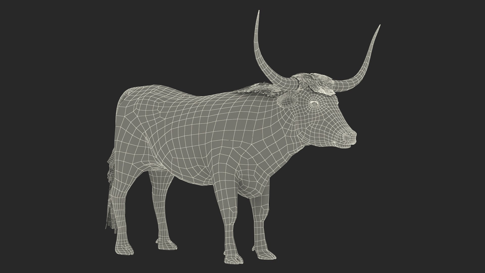 Texas Longhorn Mottled Brown Fur model https://p.turbosquid.com/ts-thumb/Hr/7f6quh/vG/texaslonghornmottledbrownfurmb3dmodel022/jpg/1705921493/1920x1080/fit_q87/b05964d4571166816eefcc93cfdb91822397b6d8/texaslonghornmottledbrownfurmb3dmodel022.jpg