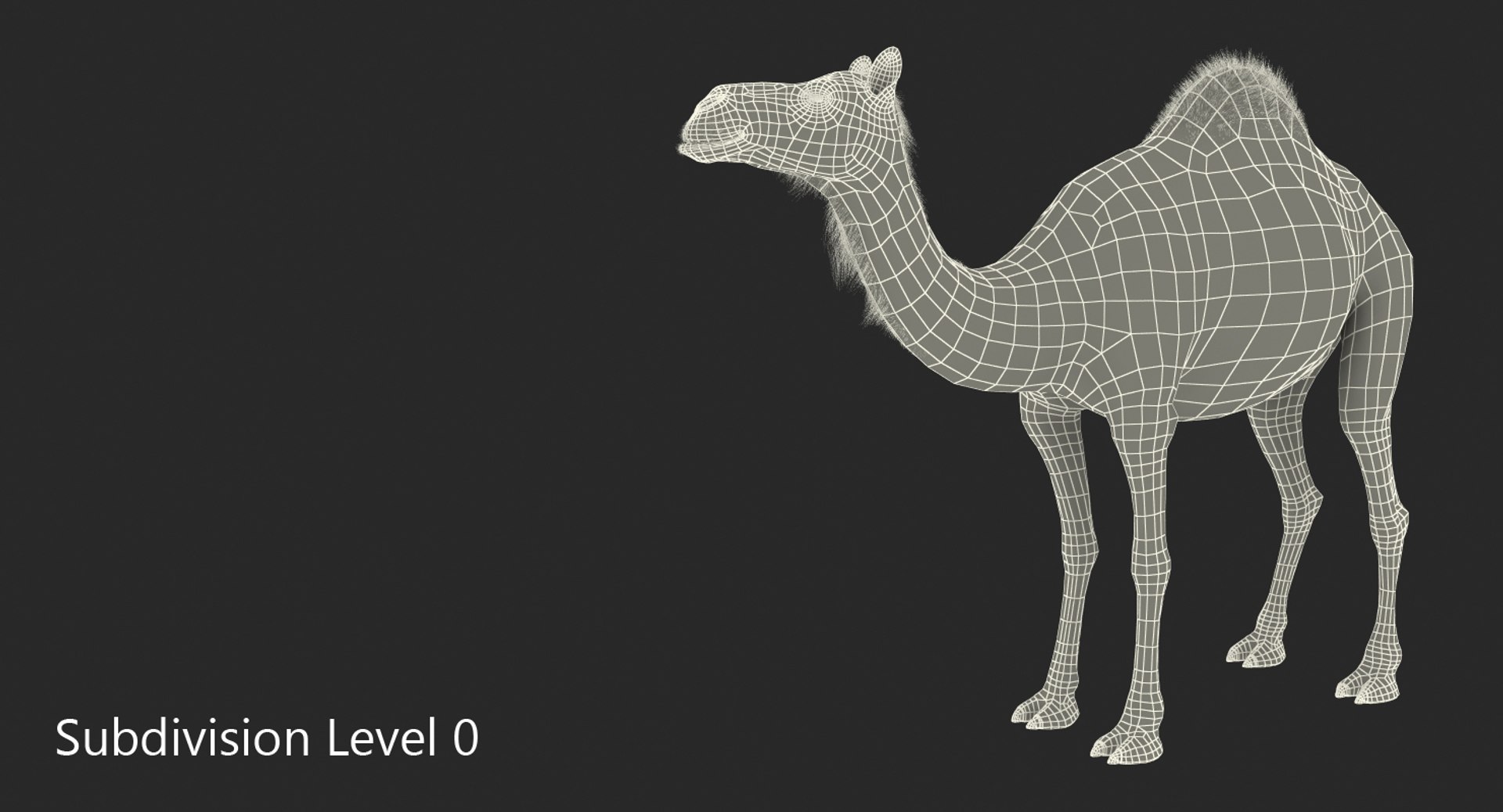 3d model camel standing pose https://p.turbosquid.com/ts-thumb/Hr/GsZYx4/6xRzNEpa/camelstandingposemb3dmodel007/jpg/1487238900/1920x1080/fit_q87/11481795d1544465f917d1b7d8c411f47be618dd/camelstandingposemb3dmodel007.jpg