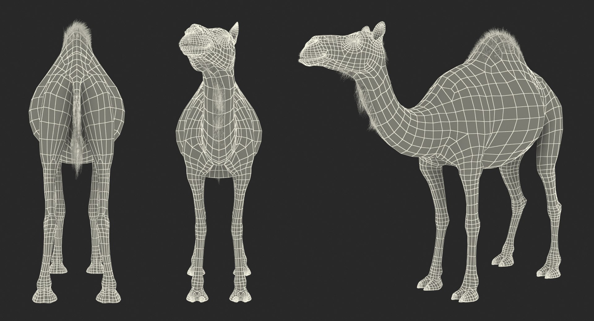 3d model camel standing pose https://p.turbosquid.com/ts-thumb/Hr/GsZYx4/84SiD0IR/camelstandingposemb3dmodel016/jpg/1487238900/1920x1080/fit_q87/9e4d35c7131ad3270111cd53c4087d9fbdabecd1/camelstandingposemb3dmodel016.jpg