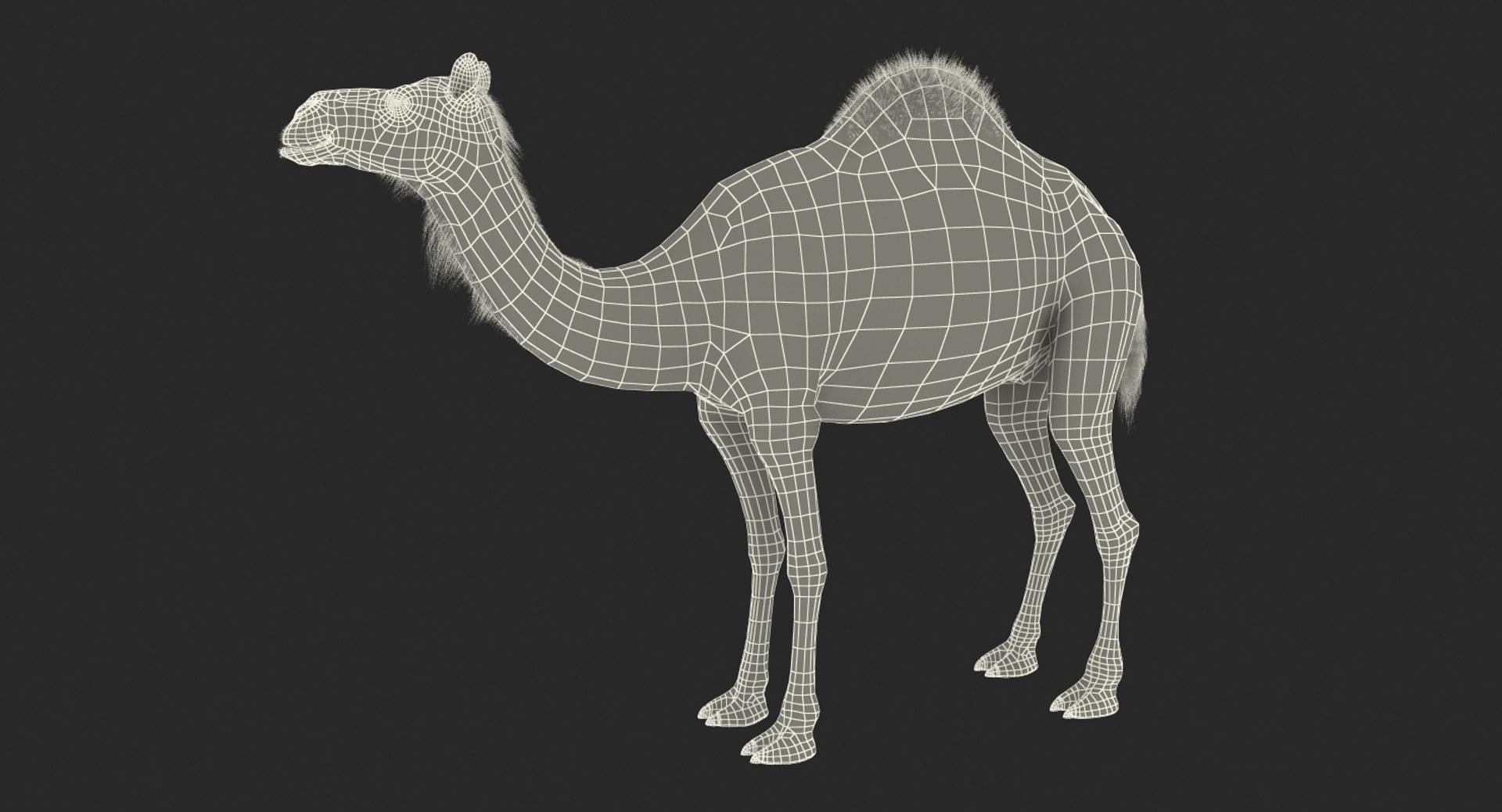 3d model camel standing pose https://p.turbosquid.com/ts-thumb/Hr/GsZYx4/DqvWq7bs/camelstandingposemb3dmodel014/jpg/1487238900/1920x1080/fit_q87/1eb725672a7571411e1e34b0dbc035a7e73ab039/camelstandingposemb3dmodel014.jpg
