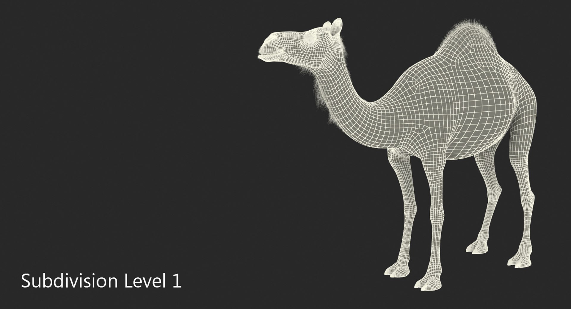 3d model camel standing pose https://p.turbosquid.com/ts-thumb/Hr/GsZYx4/gXKgDigl/camelstandingposemb3dmodel008/jpg/1487238900/1920x1080/fit_q87/01a900ac092dbcd61d90e875b02a488a77e28acb/camelstandingposemb3dmodel008.jpg