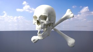3D Skull Cross Bones