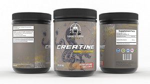 3D model Protein Powder