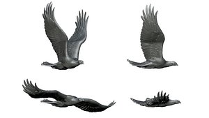 eagle 3D