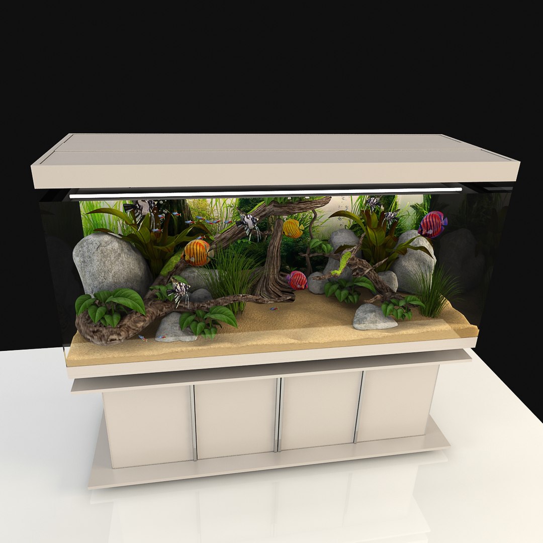 light interior aquarium ma https://p.turbosquid.com/ts-thumb/Hr/OFWPLw/O84lDINv/02/jpg/1482752582/1920x1080/fit_q87/1afaeb3a52d634a3c9467ed0174cfa4791b9c7bd/02.jpg