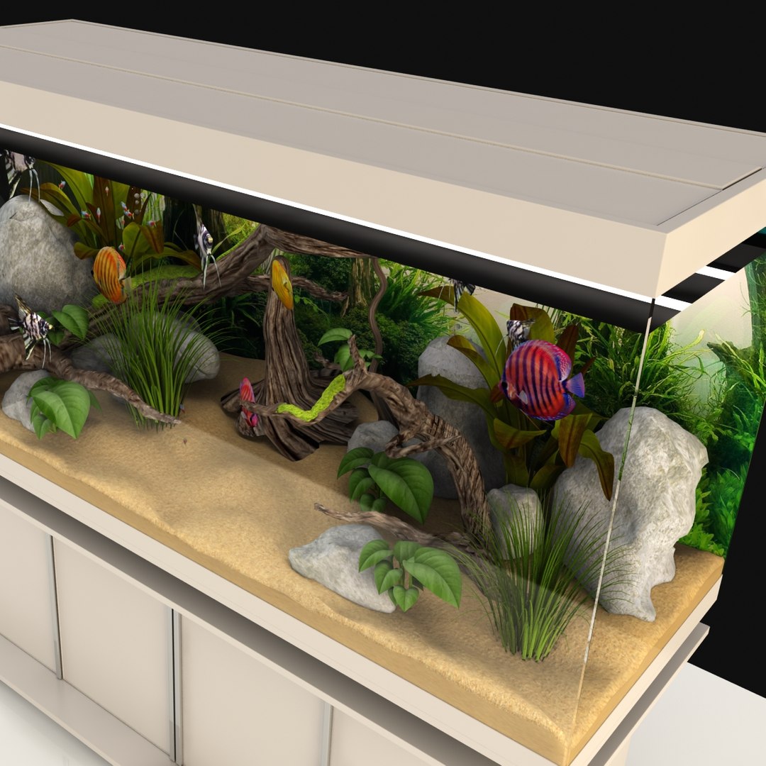 light interior aquarium ma https://p.turbosquid.com/ts-thumb/Hr/OFWPLw/QLEkBTZZ/04/jpg/1482752582/1920x1080/fit_q87/7a8ed39e7a562c3f562b6dce685578f6faec4662/04.jpg