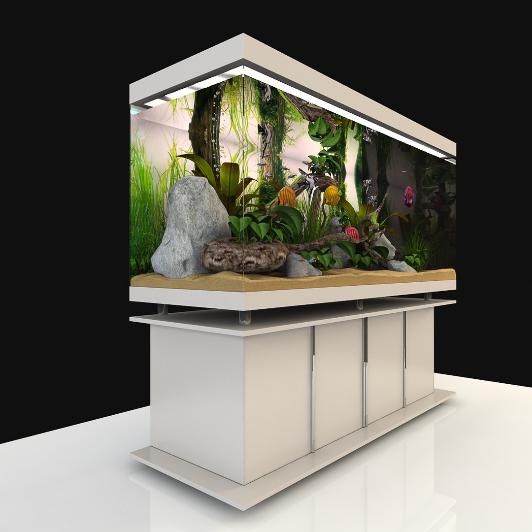 light interior aquarium ma https://p.turbosquid.com/ts-thumb/Hr/OFWPLw/hLvYmc8F/01/jpg/1482752582/1920x1080/fit_q87/ad40d093e29107b6cf563564e93d9e13dafc1a43/01.jpg