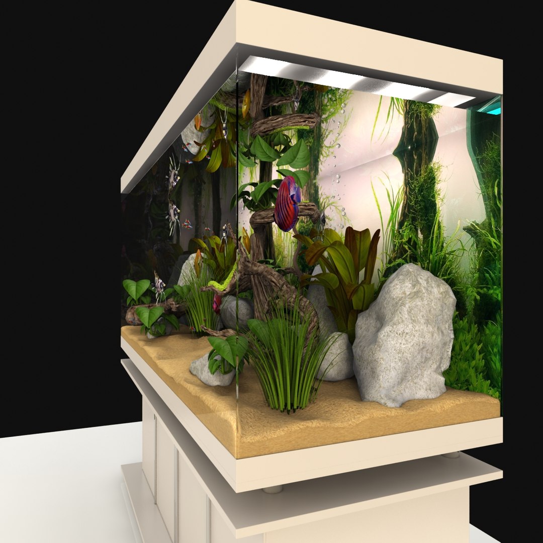 light interior aquarium ma https://p.turbosquid.com/ts-thumb/Hr/OFWPLw/imXV9Ymt/03/jpg/1482752582/1920x1080/fit_q87/0327ae961ea83f0d4973e069fd7d268f0d08a006/03.jpg