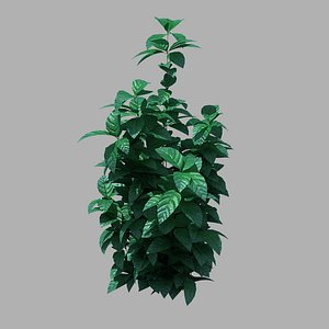 3D small plants 10
