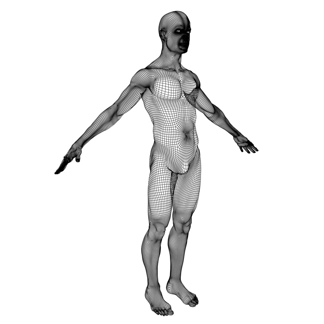 Male Man 3d Model