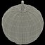 3d pumpkin 2 model