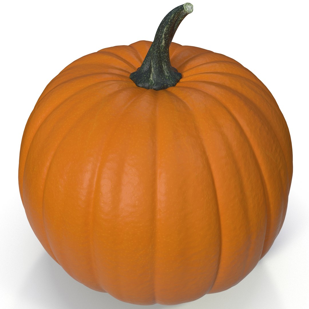 3d pumpkin 2 model https://p.turbosquid.com/ts-thumb/Hr/ipDSOs/lmmV5kTT/pumpkin2_2/jpg/1392343191/1920x1080/fit_q87/a4821d6cbbbf866d36dddcef781e1f2bb201131c/pumpkin2_2.jpg
