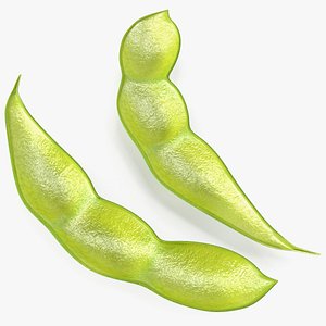 Green Soybean Pod Empty