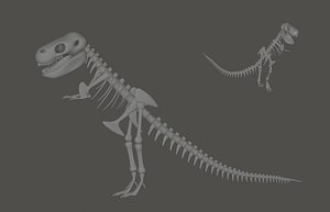 Tyrannosaurus Rex Fossil 3D model