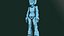 ROBO