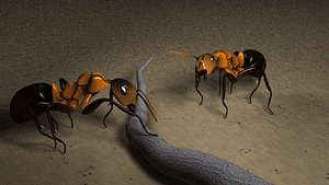 ant 3ds