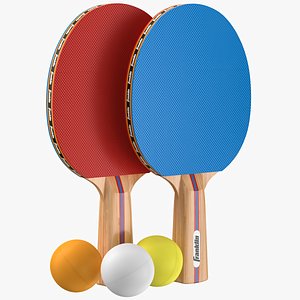 3D Ping Pong  Paddles 02