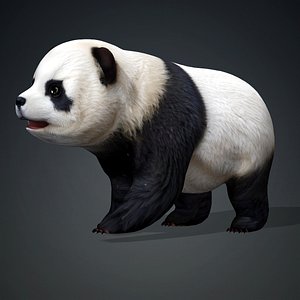Panda-A2 3D model