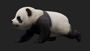 Panda-A2 3D model