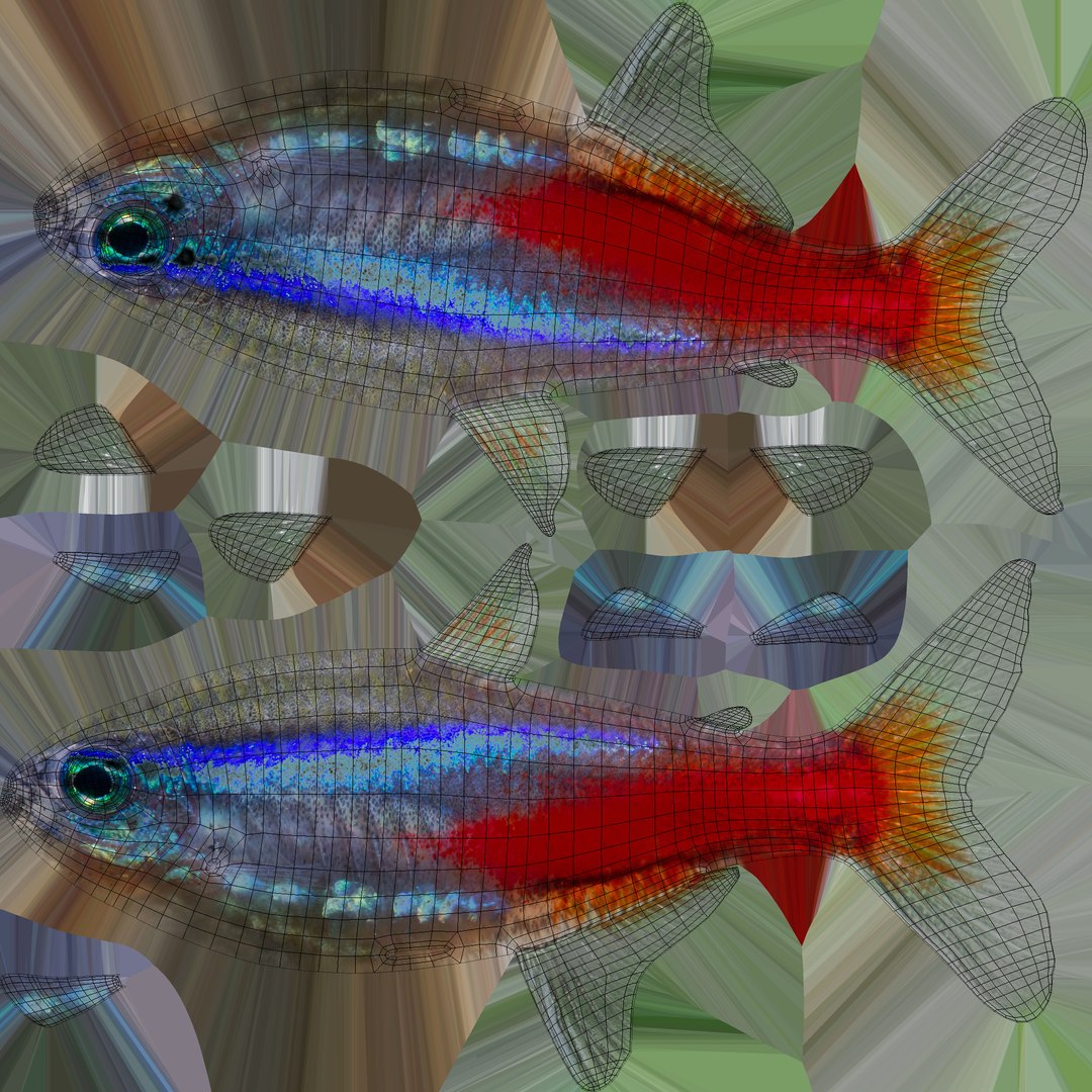 3D Neon Tetra Model - TurboSquid 1322519