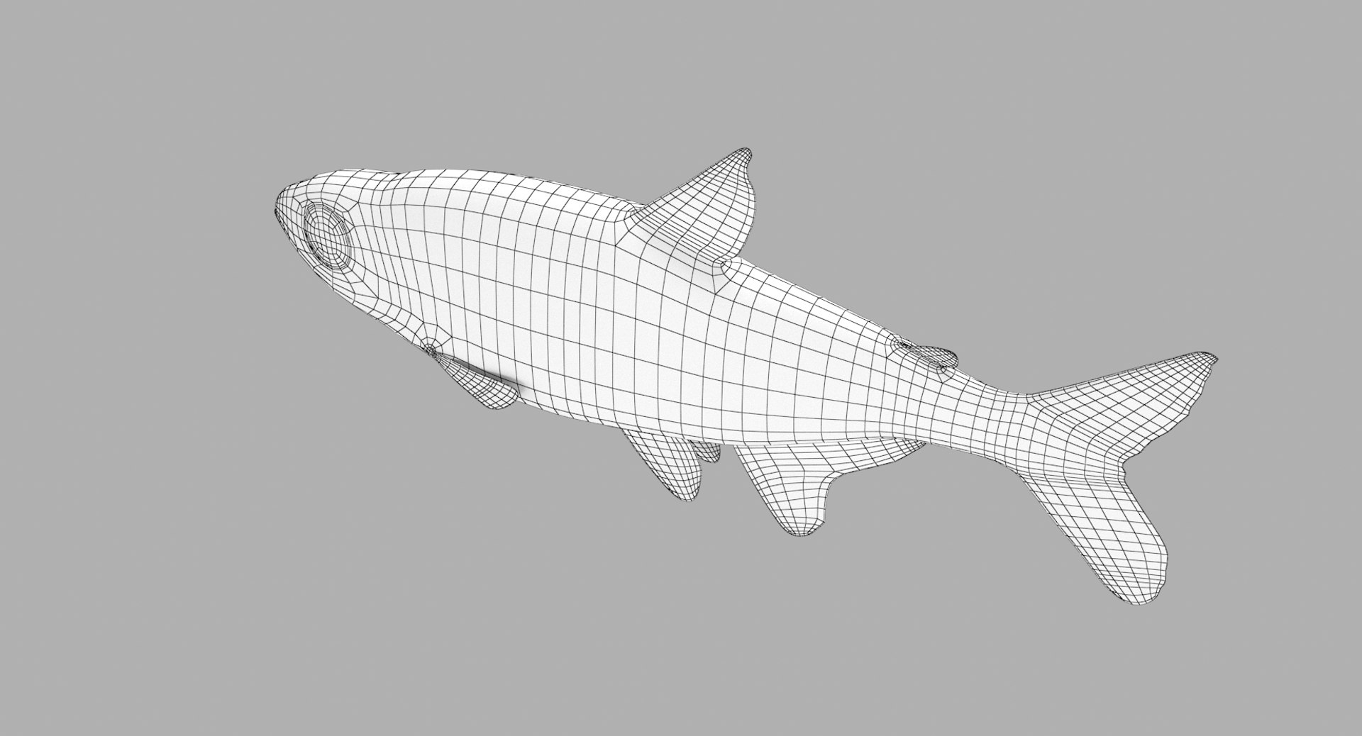 3D Neon Tetra Model - TurboSquid 1322519