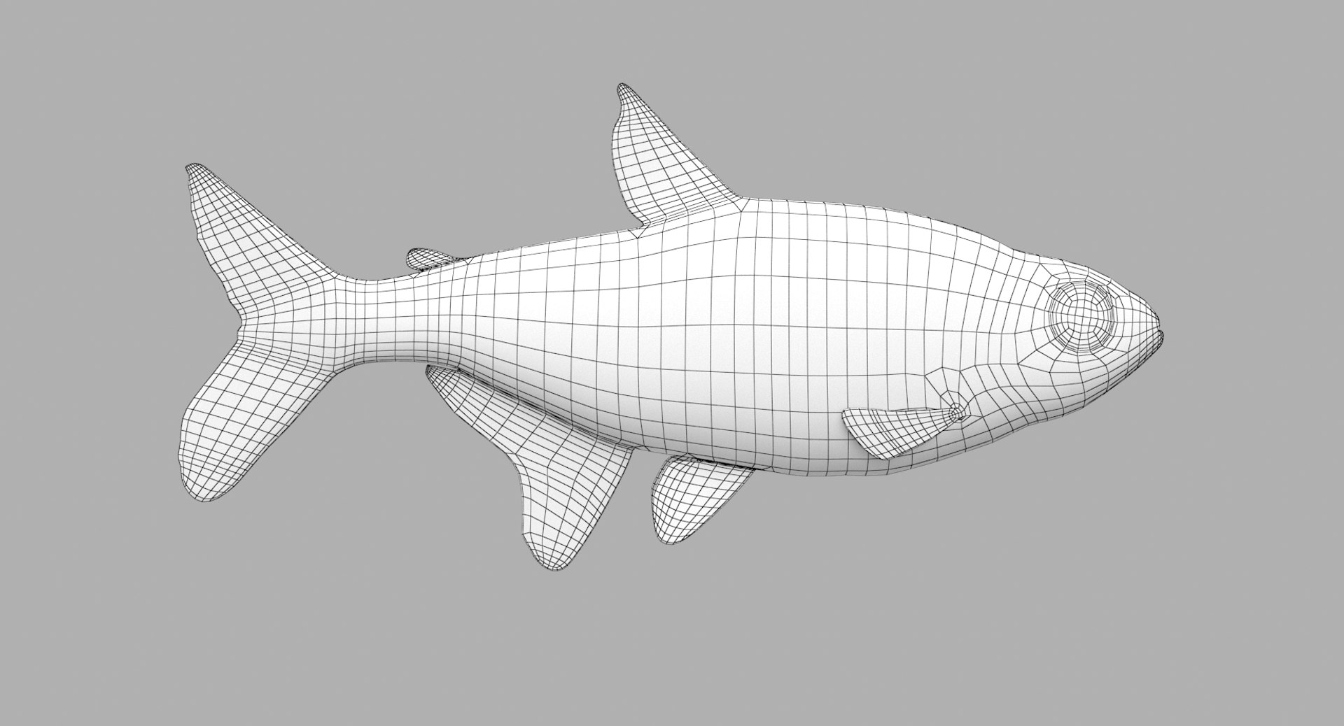 Neon Fish 3D Model - TurboSquid 1486609