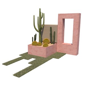 Cactus planter
