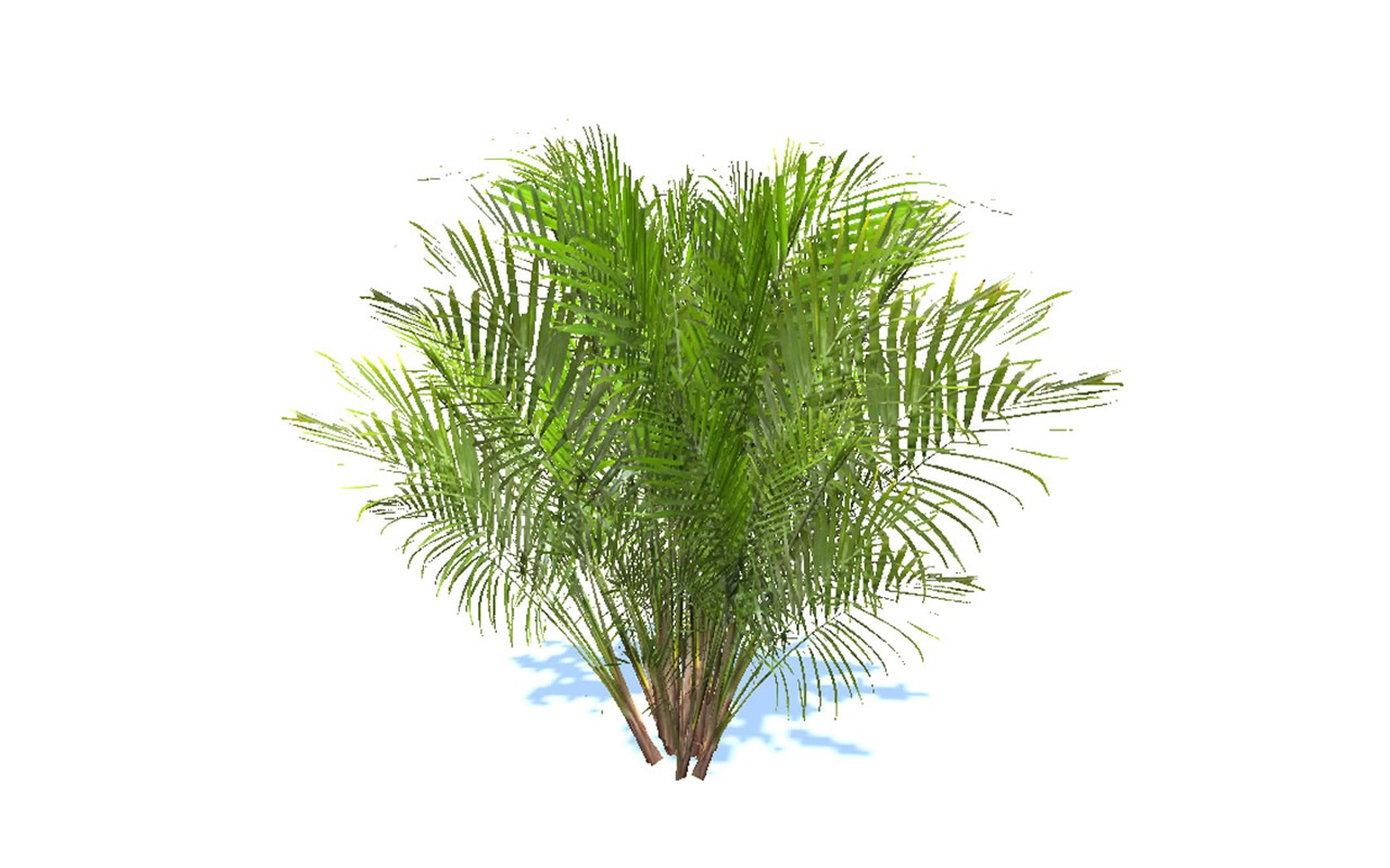 natural forest bushes 3D model https://p.turbosquid.com/ts-thumb/Hs/iIJVQn/2VP2Ecdd/forest_environment_bushes_mega_pack_view4/jpg/1583568803/1920x1080/fit_q87/0e0fa96a7d0c350803fc9646246e168ad171e676/forest_environment_bushes_mega_pack_view4.jpg