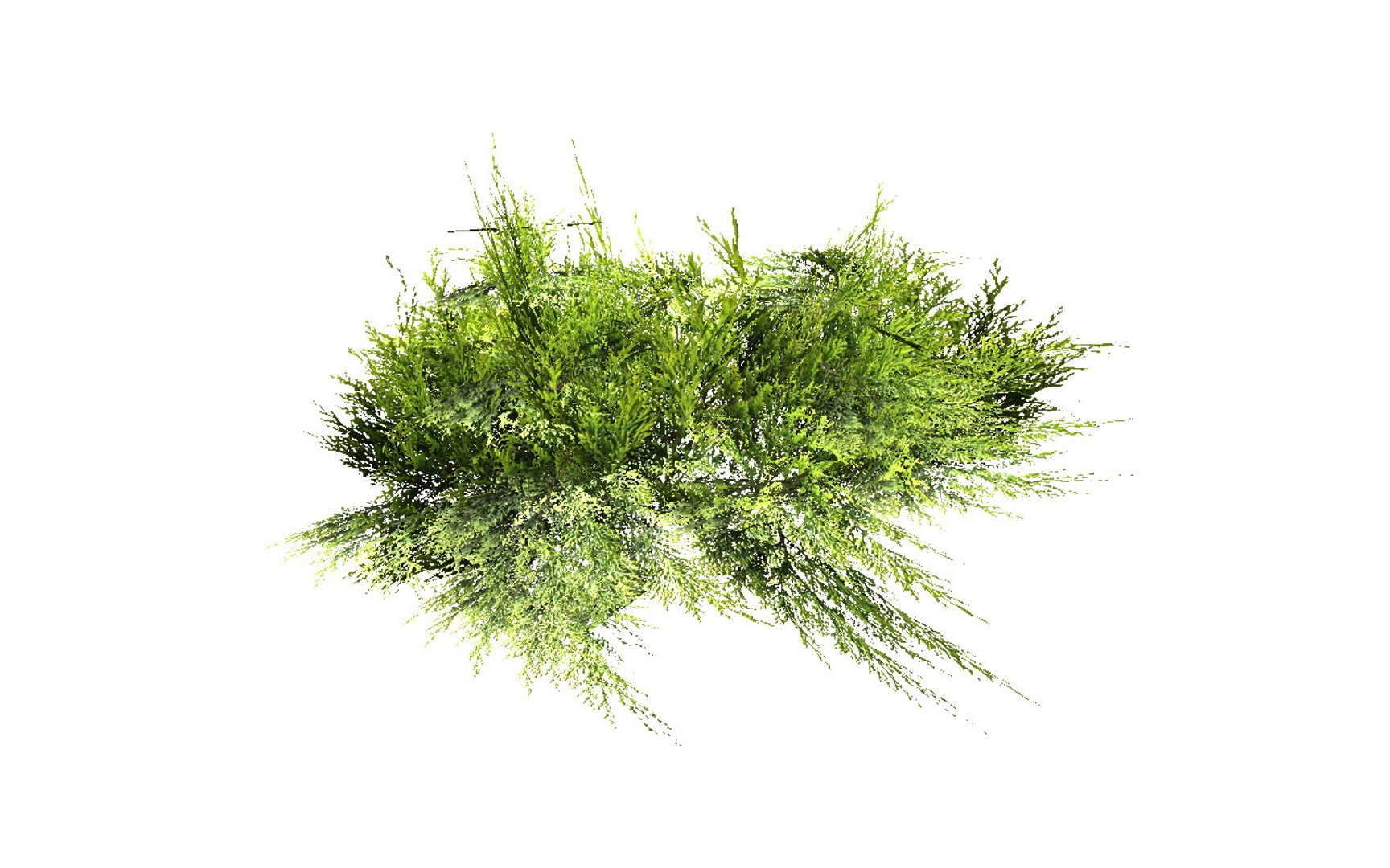 natural forest bushes 3D model https://p.turbosquid.com/ts-thumb/Hs/iIJVQn/RKcaze6T/forest_environment_bushes_mega_pack_view18/jpg/1583568803/1920x1080/fit_q87/04f4e5a7d923281fa308478ebcd3cfd0dcd6f507/forest_environment_bushes_mega_pack_view18.jpg
