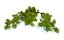 natural forest bushes 3D model
