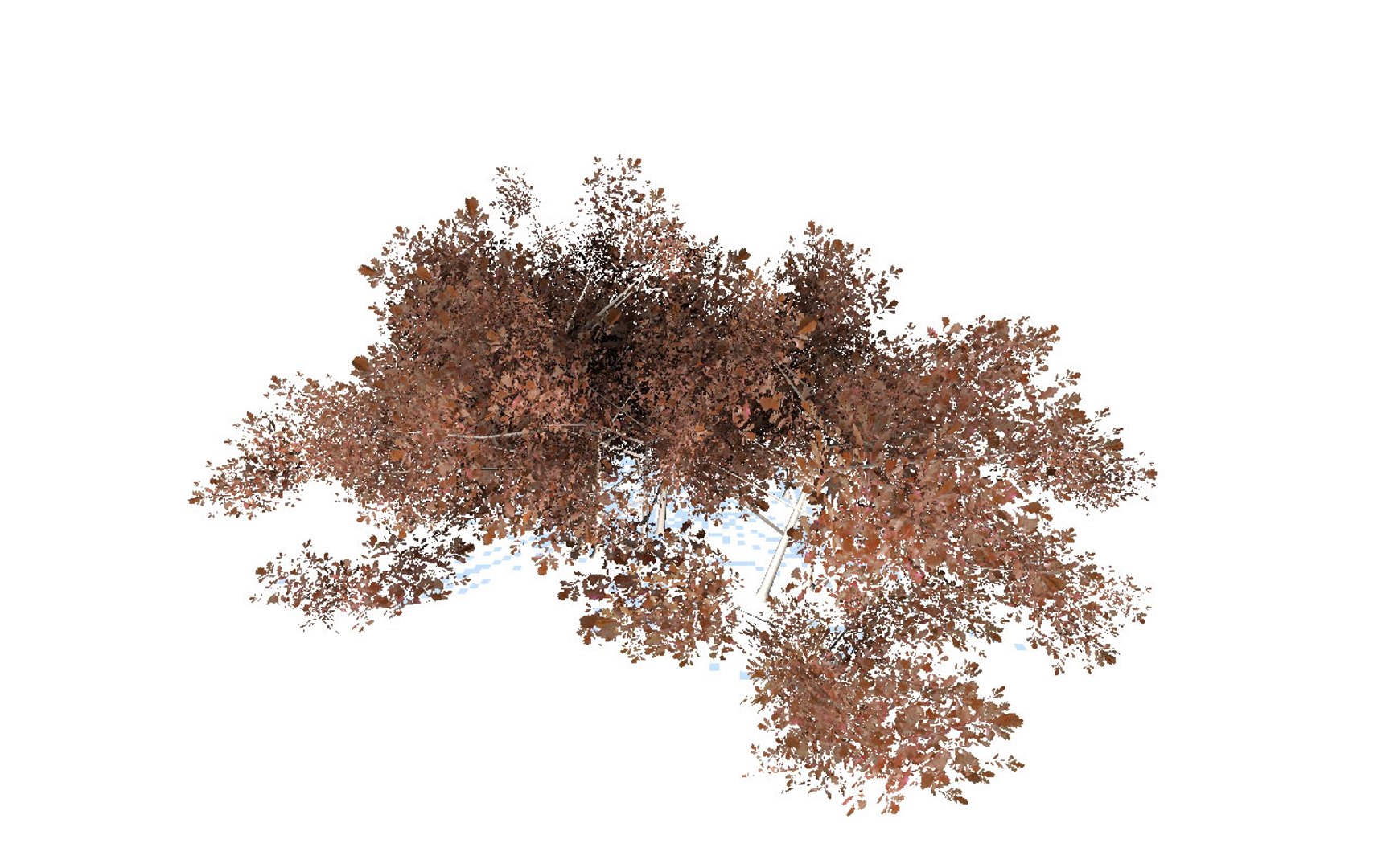 natural forest bushes 3D model https://p.turbosquid.com/ts-thumb/Hs/iIJVQn/xX7X26No/forest_environment_bushes_mega_pack_view13/jpg/1583568803/1920x1080/fit_q87/3d4bbac03239aa2abe5f5d763f749a886f02da25/forest_environment_bushes_mega_pack_view13.jpg