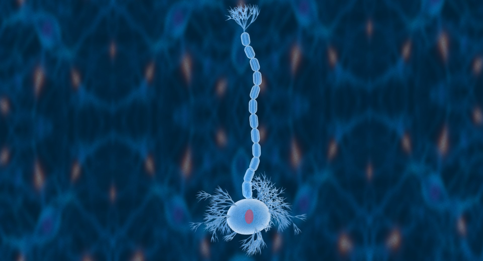 Nerve Cells Neuron 3D Model - TurboSquid 1244198